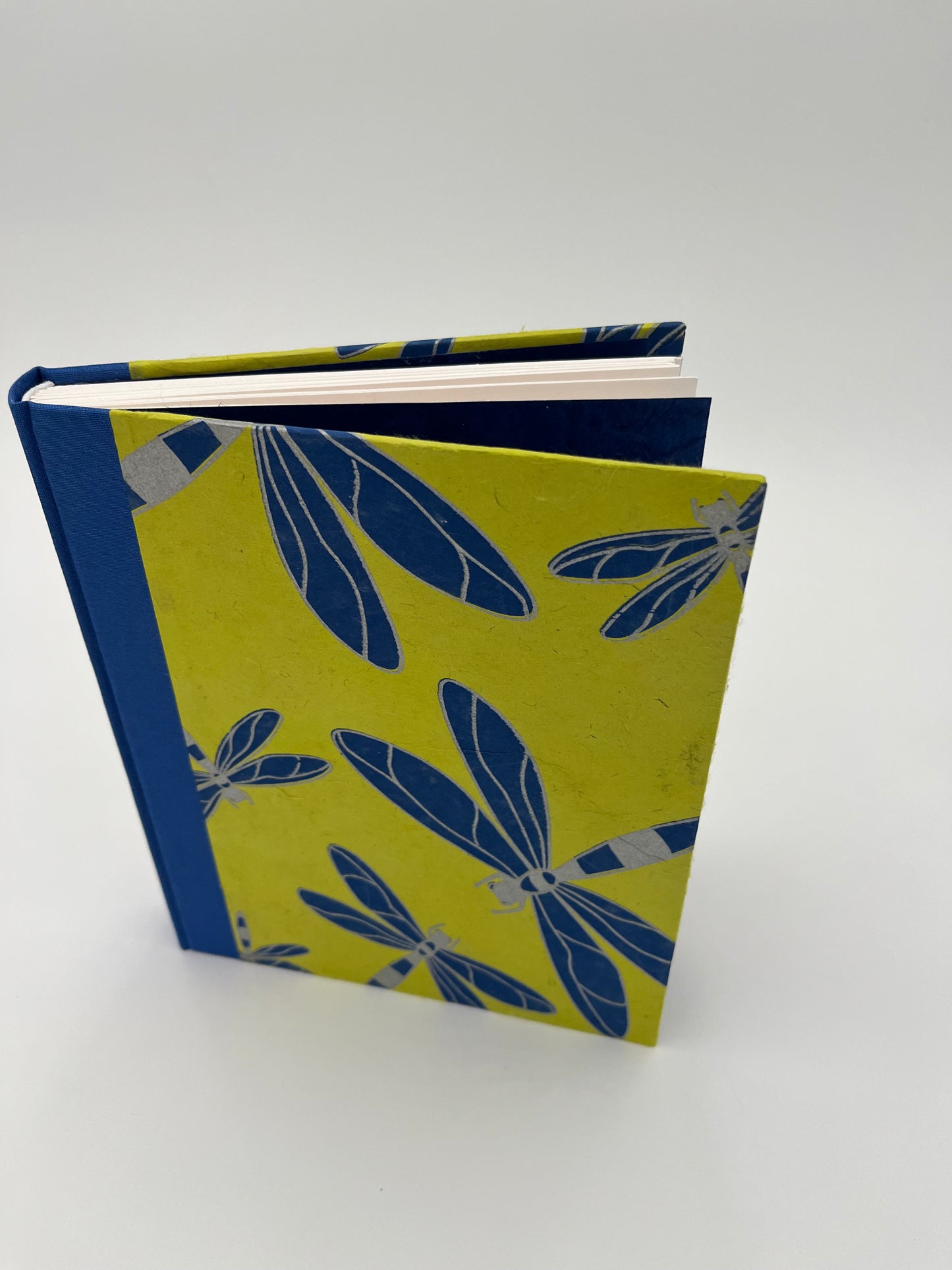 Blue Dragonfly Journal