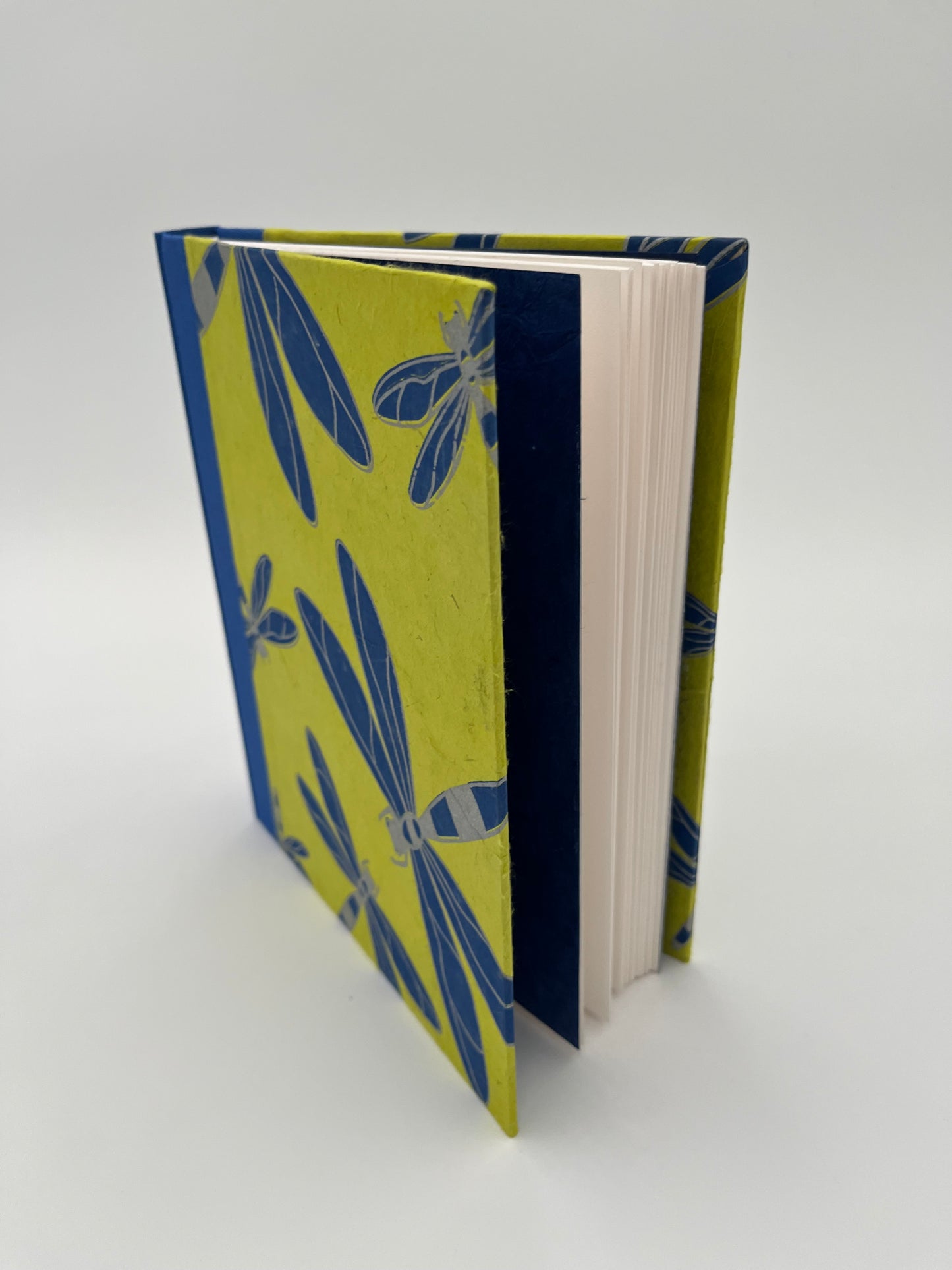 Blue Dragonfly Journal