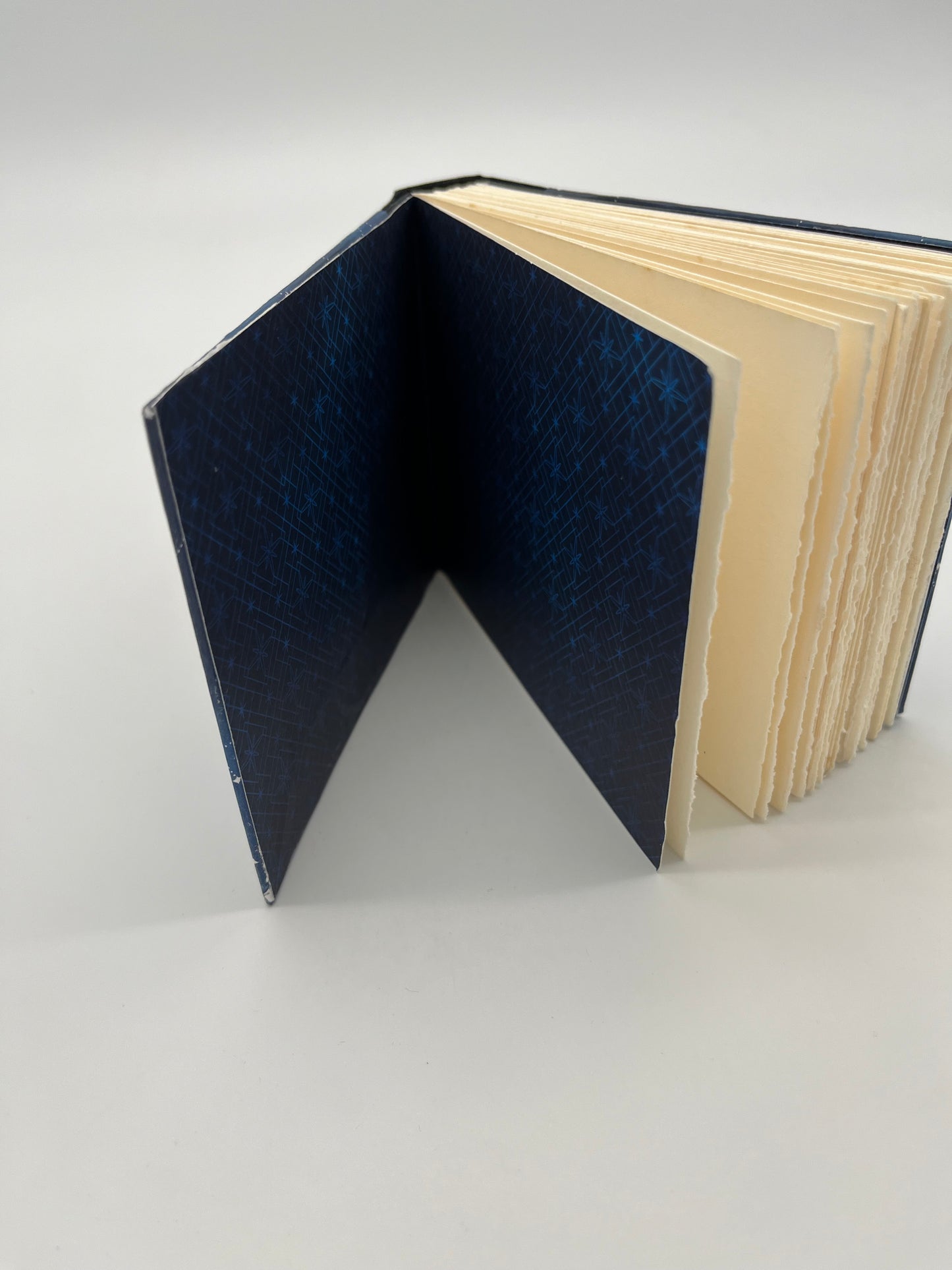 Blue Star Constellation Journal