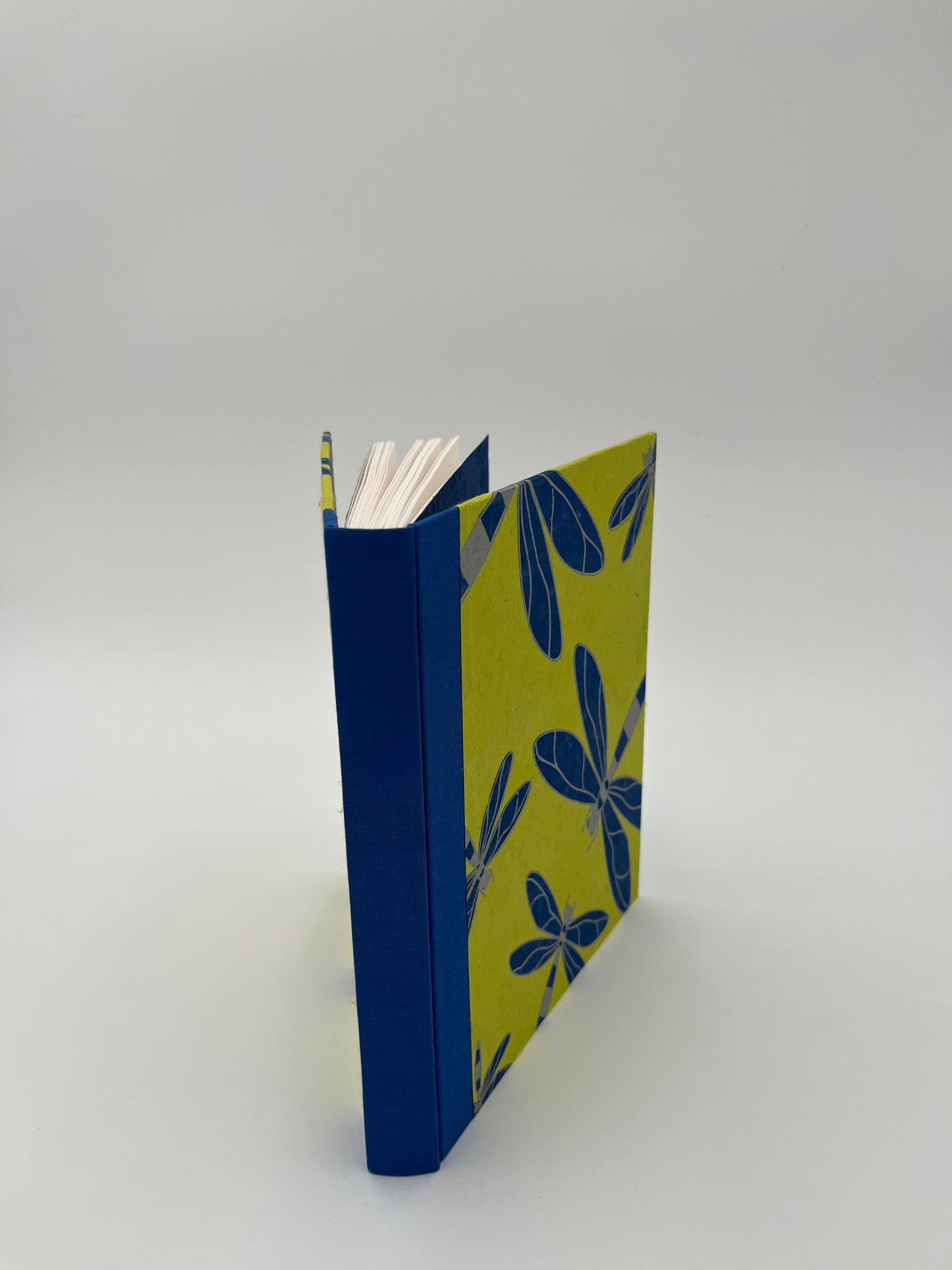 Blue Dragonfly Journal